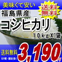 22年福島県産コシヒカリ白米 10kg　※沖縄・全ての離島へお届け不可福島県：食品も同梱OK♪到着後レビューお願いします