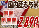 【送料無料】国内産未検査もち（もち米）精白7kg(1.4kgX5袋) 【RCPsuper1206】