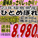 新米☆23年福島県産ひとめぼれ玄米30kg※送料無料/沖縄・離島を除く