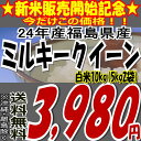 福島県産ミルキークイーン白米10kg( 5kgX2袋）※送料無料/沖縄・離島を除くお米・食品同梱OK