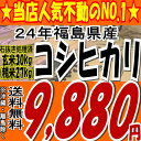 【送料無料】24年福島県産コシヒカリ玄米30kg※送料無料/沖縄・全ての離島を除く【玄米30キロ/希望で精米27キロ】【tohoku】【がんばろう福島】【東北復興_福島県】【こしひかり】【米】