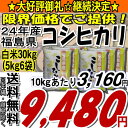 【送料無料】24年福島県産コシヒカリ白米30kg(5kg×6)(沖縄・全ての離島へお届け不可)【白米5キロ×6袋】【tohoku】【がんばろう福島】【こしひかり】【米】【コメ】