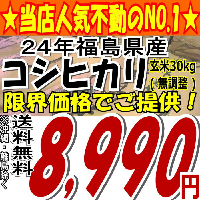 ※無調整※24年福島県産コシヒカリ玄米30kg※送料無料/沖縄・全ての離島を除く24年産出荷スタートです★