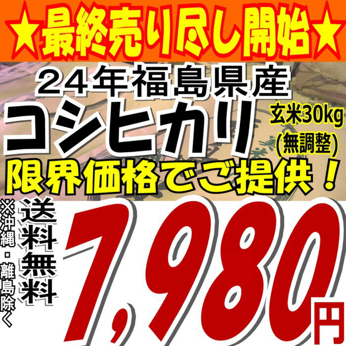 ☆最終売り尽くし☆※無調整※24年福島県産コシヒカリ玄米30kg※送料無料/沖縄・全ての離島を除く24年産大人気販売中です★