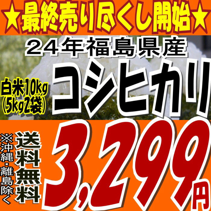 ☆最終売り尽くし☆24年福島県産コシヒカリ白米10kg(5kg×2)(沖縄・全ての離島へお届け不可)24年産大人気販売中★