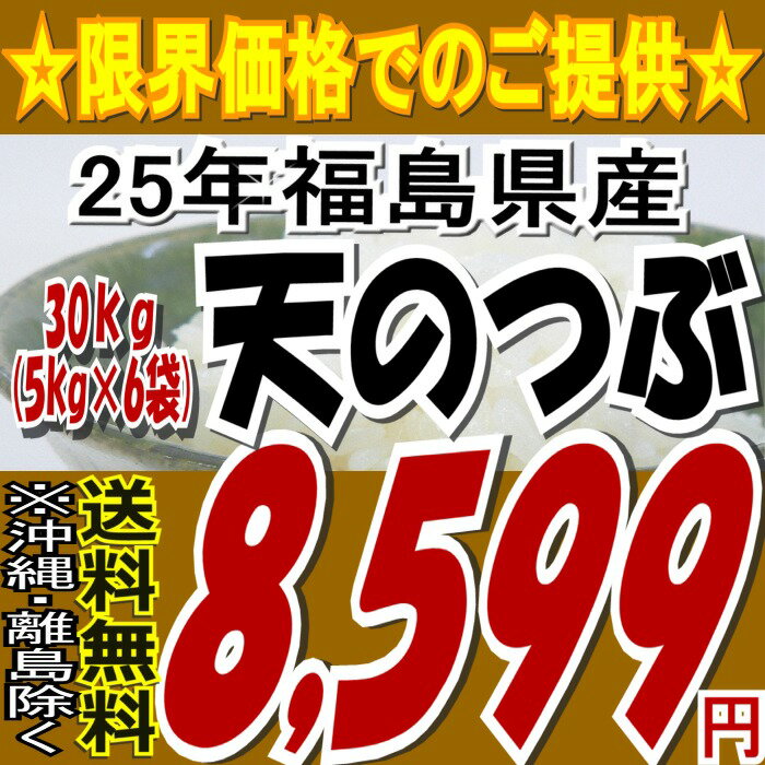 25年福島県産天のつぶ白米 30kg(5kg×6袋)25年産 販売スタートです★