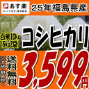 【あす楽対応】【送料無料】25年福島県産コシヒカリ白米10kg(5kg×2)【こしひかり】【米】【コメ】