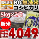 【BG無洗米】28年福島県産 白米 コシヒカリ 10kg(5kg×2) 【送料無料】 ランキングお取り寄せ