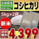 新米 29年産 コシヒカリ 10kg(5kg×2) (茨城県産) 白米【送料無料】【通常発送】