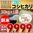 コシヒカリ 30kg 調整済玄米キラッと玄米 福島県 30年産 送料無料 あす楽_土曜営業