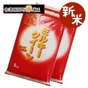 【新米】 ミルキークイーン 5kg×2袋 白米 10kg 福島県 令和元年産 送料無料 あす楽_土曜営業