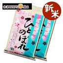 【新米】ひとめぼれ 5kg×2袋 白米 10kg 福島県 令和元年産 送料無料 あす楽_土曜営業