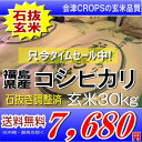 送料無料22年福島県産コシヒカリ玄米30kg※送料無料/沖縄・全ての離島を除くGW限定目玉品石抜き調整済み玄米でお届け★