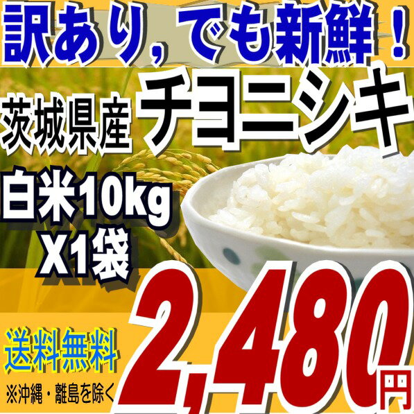 でも新鮮！タイムセール品数量限定22年茨城県産チヨニシキ白米10kg※送料無料/沖縄・全ての離島へお届け不可 でも新鮮！数量限定目玉品です！