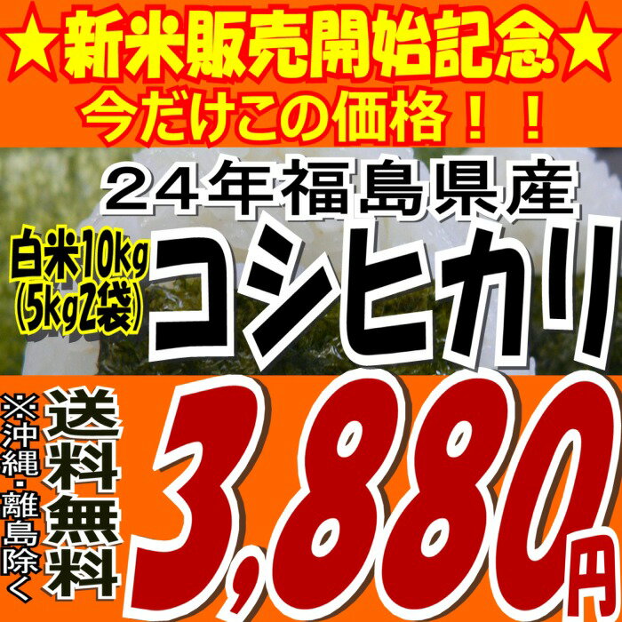 ★新米販売開始記念★今だけ3,880円！新米☆24年福島県産コシヒカリ白米10kg(5kg×2)(沖縄・全ての離島へお届け不可)24年産出荷スタートです★