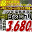 ★8時間限定タイムセール★3,680円！24年福島県産コシヒカリ白米10kg(5kg×2)(沖縄・全ての離島へお届け不可)24年産出荷スタートです★