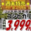 ★週末特売★3,999円!24年新潟県産コシヒカリ白米 10kg(5kg×2袋)※沖縄・離島へお届け不可今だけこの価格★