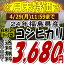 ★月末特価★￥3,680！！24年福島県産コシヒカリ白米10kg(5kg×2)(沖縄・全ての離島へお届け不可)24年産出荷スタートです★