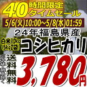 ★40時間限定タイムセール★3,780円！24年福島県産コシヒカリ白米10kg(5kg×2)(沖縄・全ての離島へお届け不可)24年産出荷スタートです★