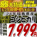 ★74時間限定タイムセール★7,999円！24年福島県産コシヒカリ玄米30kg※送料無料/沖縄・全ての離島を除く24年産出荷スタートです★