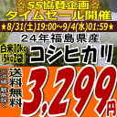 ☆SS協賛企画☆￥3,299！！【送料無料】24年福島県産コシヒカリ白米10kg(5kg×2)(沖縄・全ての離島へお届け不可)【白米5キロ×2袋】【tohoku】【がんばろう福島】【こしひかり】【米】【コメ】