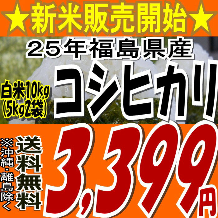 《10月発送限定☆セール》25年福島県産コシヒカリ白米10kg(5kg×2)(沖縄・全ての離島へお届け不可)25年産 新米 販売開始★