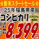 《86時間限定！！全商品ポイント5倍》【新米】※無調整※【送料無料】25年福島県産コシヒカリ玄米30kg【玄米30キロ】【tohoku】【がんばろう福島】【東北復興_福島県】【こしひかり】【米】