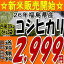 【新米】【送料無料】26年福島県産コシヒカリ白米10kg(5kg×2)【こしひかり】【米】【コメ】