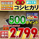 【実質2,799円=レビュー500P】【あす楽_土曜営業】☆新米入荷☆【送料無料】新米27年福島県産コシヒカリ白米10kg(5kg×2)