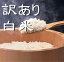 精米日より4日以上経過したお米をお安く販売★ 人気商品なのでお早めに!訳あり処分☆21年福島県産ミルキークイーン白米5kg※期日指定不可※即日発送!