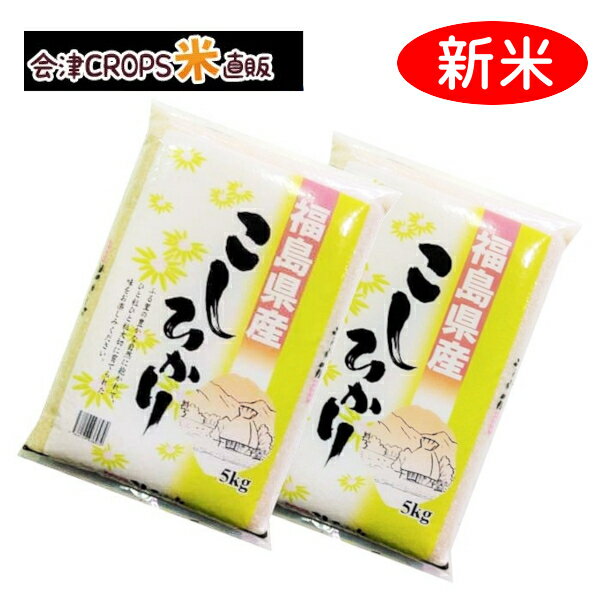 クーポン利用で10%OFFコシヒカリ 5kg×2袋 白米 10kg 福島県 令和二年産 送料無料 あす楽_土曜営業