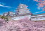 【あす楽】 EPO-05-103 風景 姫路城の満開桜−兵庫 500ピース 1,231円
