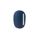 【015 インディゴ(3g)】カラージェル|LED・UV対応|JellyNail(ジェリーネイル)<公式>ジェルネイル