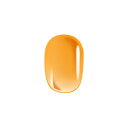 カラージェル アクア|A07 アクアオランジュ|JellyN...