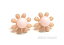 【タイ輸入】ピアス お花 ピンクベージュ ストーン 輸入アクセサリー バンコク【クロネコDM便対応】