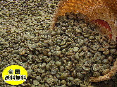 生豆コーヒーブラジル・サントスNO2 800g：【RCP】【HLS_DU】