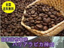 自家焙煎コーヒー特選コーヒー バリ アラビカ「神山」 (400g) コーヒー豆:【RCP】【HLS_DU】
