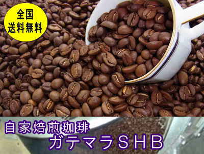 自家焙煎コーヒーガテマラSHB 400g コーヒー豆：【RCP】【HLS_DU】...:jet-shop:10000460