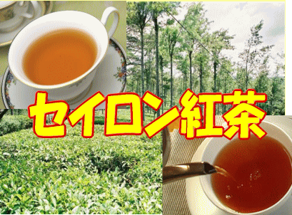 セイロン紅茶（100g入り）【3袋で全国送料無料】