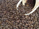 自家焙煎コーヒーパナマ SHB エレタ農園(500g) コーヒー豆:【RCP】【HLS_DU】