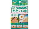 【第2類医薬品】薬)共立薬品工業 /オーラク膏H