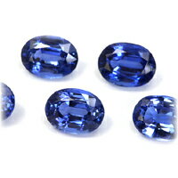 iI[o7x5mmOjJCiCg̃TvXg[