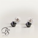 プラチナ ピアス レディース メンズ Pt900ブラックダイヤモンド 0.3ct スタッズ ピアス プレゼント DEVAS ディーヴァス