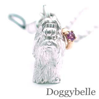 ʥշӥȥå׺ʤݥܡ(3/15 9:59ޤ)( 2 ) ץ K10᥸ӥȥåסʥˡʥۥ磻ȥǡ ץ쥼ȡ