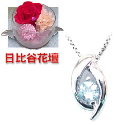 いつまでも素敵なお母さんへのプレゼント今ならラッピング無料◆（母の日限定）( 3月誕生石 ) K18ホワイトゴールド アクアマリンペンダントネックレス（日比谷花壇カーネーション付き）【SUEHIRO】