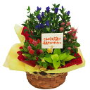 【リンドウと季節のお花の寄せ鉢】お祝い・お誕生日・結婚お祝・...