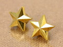 ショッピング エアバルブキャップ スター(星) 2個セット ゴールド 【メール便OK】_AC-AA111STGO-MON
