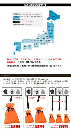 ◆ラッピングチケット◆(Men'sラッピングプレゼント袋誕生日お祝い特大リボン誕生日ラッピング包装紙ラッピング袋ラッピングペーパー父の日)【メンズ】