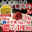 お買い得 【 送料無料 】【 白米 20kg 5kg×4袋 】生活応援 天空の城 竹田城 コウノトリで有名な 西日本 兵庫県 但馬産 28年産 コシヒカリ 食味 ランキング 県北 特A 産地 直送 業務用 にも 米 20kg 訳あり 無地袋