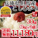 【 あす楽 】 【 送料無料 】【 白米 30kg 5kg×6袋 】生活応援 天空の城 竹田城 コウノトリで有名な 西日本 兵庫県 但馬産 28年産 コシヒカリ 食味 ランキング 県北 特A 産地 直送 業務用 にも 米 30kg 訳あり 無地袋